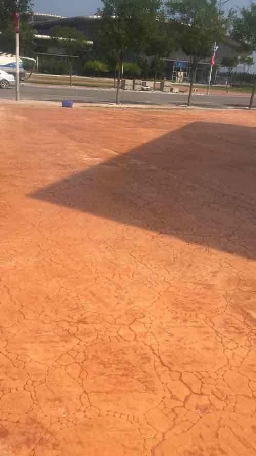 天津體育中心棒球場壓模壓花