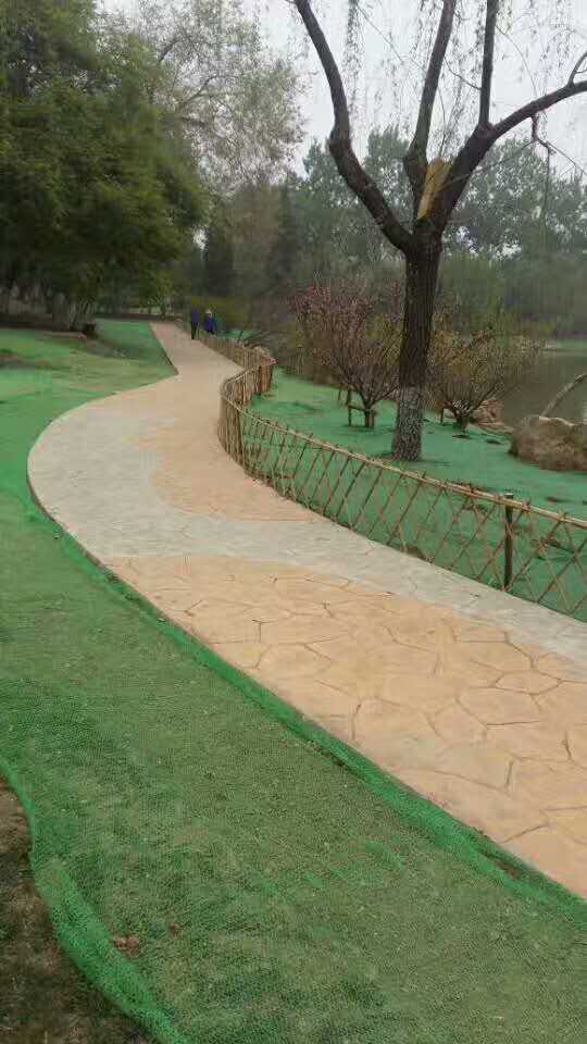 天津動物園壓花路面